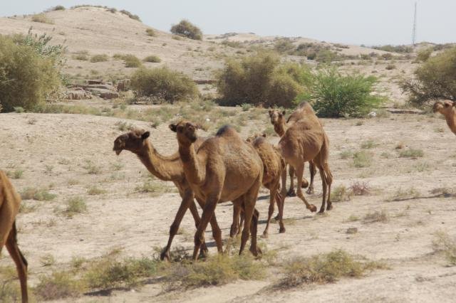 Urlaub in Iran 2018